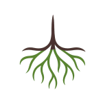 logo of Empyrean Parcels. Rooted in clarity for landowners