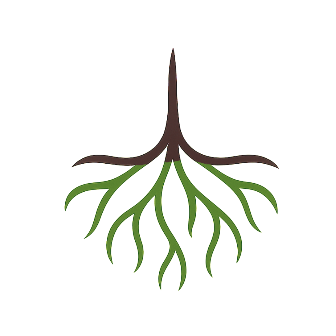 logo of Empyrean Parcels. Rooted in clarity for landowners